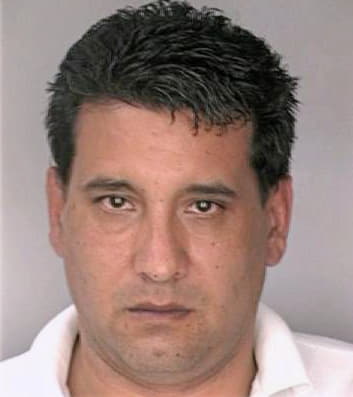 Naughton Mark - Hillsborough County, FL 