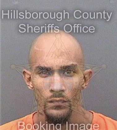 Handford Woodrow - Hillsborough County, FL 