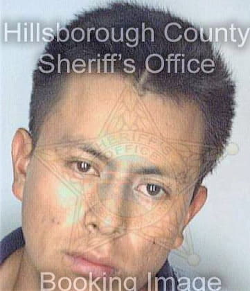 Perezgonzalez Javier - Hillsborough County, FL 