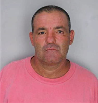 Perez Vladimir - Hillsborough County, FL 