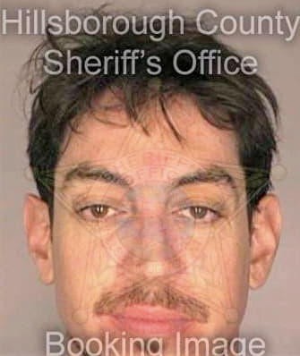 Morales Allan - Hillsborough County, FL 