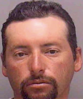 Hernandez Gerardo - Lee County, FL 