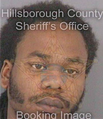Longuefosse Kevin - Hillsborough County, FL 