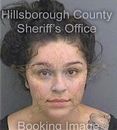 Narvaez Larissa - Hillsborough County, FL 
