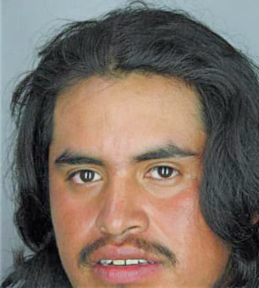 Lucas Valiente - Hillsborough County, FL 