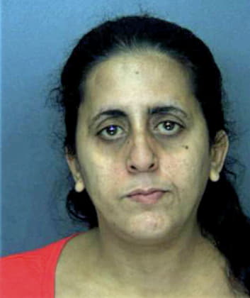 Suleiman Violet - Orange County, FL 