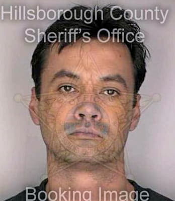 Lindsay William - Hillsborough County, FL 