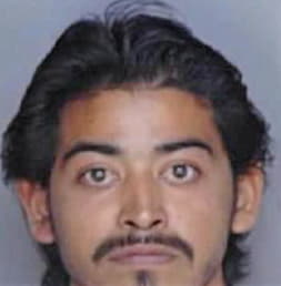 Cisneros Martin - Polk County, FL 