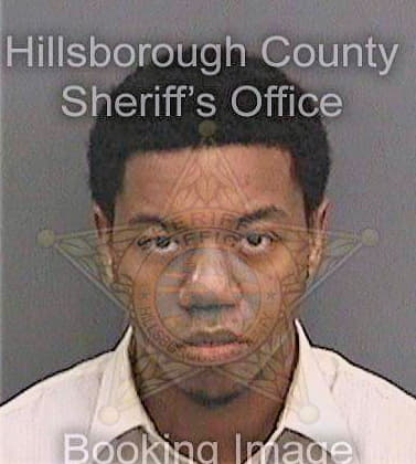 Davis Nicholas - Hillsborough County, FL 