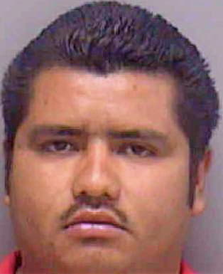 Gonzalez Santiago - Lee County, FL 