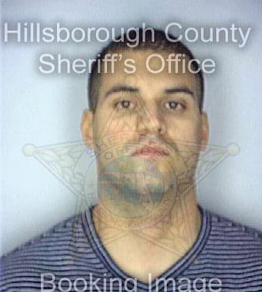 Prieto David - Hillsborough County, FL 