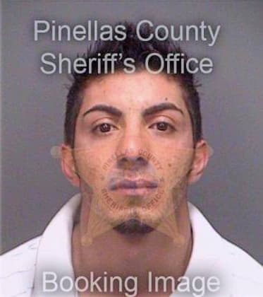 Aslani Kamal - Pinellas County, FL 