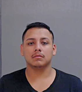 Hernandez Pedro - Hidalgo County, TX 