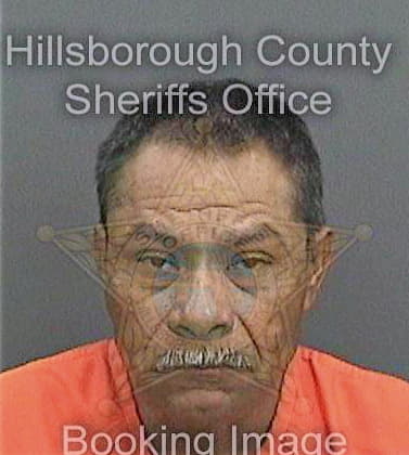 Gomezchavez Raul - Hillsborough County, FL 