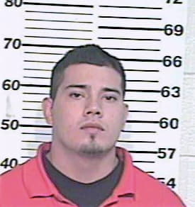 Hernandez David - Hidalgo County, TX 