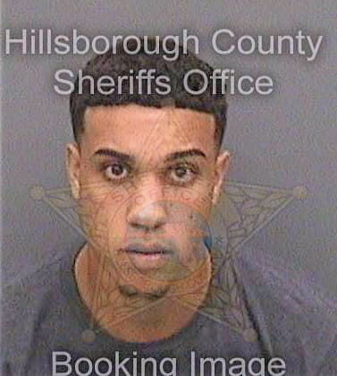 Shafar Robert - Hillsborough County, FL 