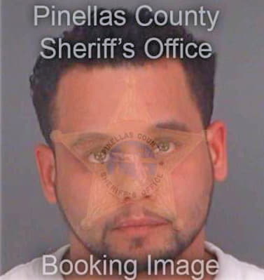 Lopez Eduardo - Pinellas County, FL 