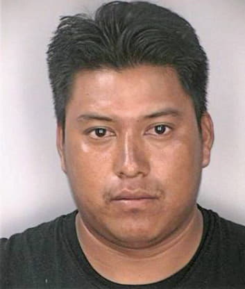 Sanchezramirez Edilmar - Hillsborough County, FL 