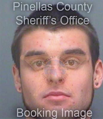 Anderson Ryan - Pinellas County, FL 