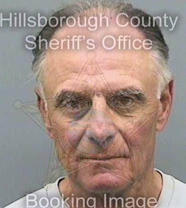 Diber Robert - Hillsborough County, FL 