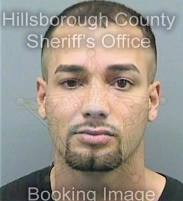 Rivera Alexander - Hillsborough County, FL 