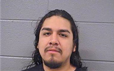 Gonzalez Erasmo - Cook County, IL 