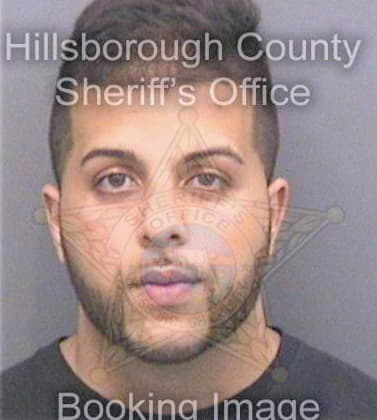 Fazel Faraz - Hillsborough County, FL 