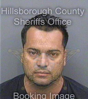 Hernandezgarcia Jonathan - Hillsborough County, FL 