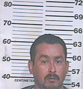 Hernandez David - Hidalgo County, TX 