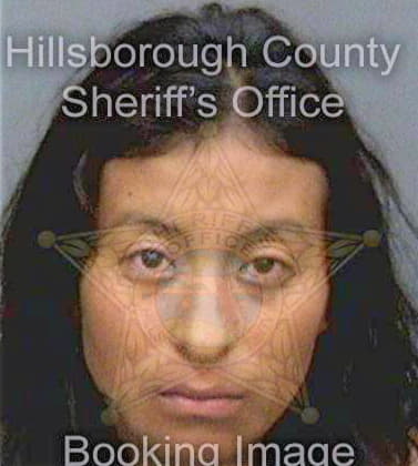 Perez Maviluz - Hillsborough County, FL 