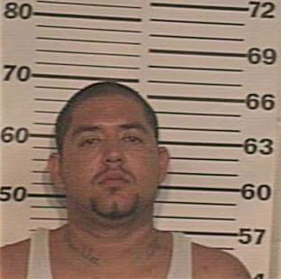 Hernandez Hector - Hidalgo County, TX 