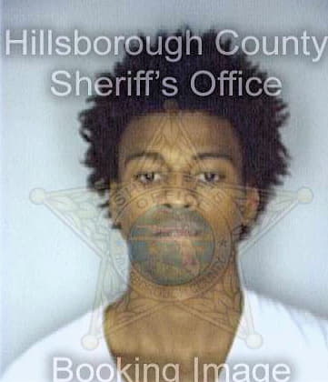 Lee Robert - Hillsborough County, FL 