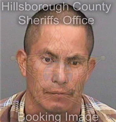 Perezmejia Isaias - Hillsborough County, FL 