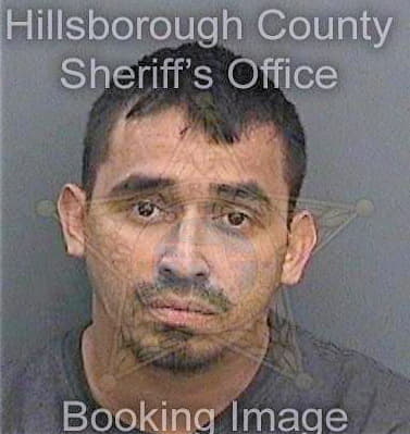 Juarez Joel - Hillsborough County, FL 