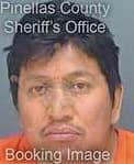 Jahueyperez Martin - Pinellas County, FL 