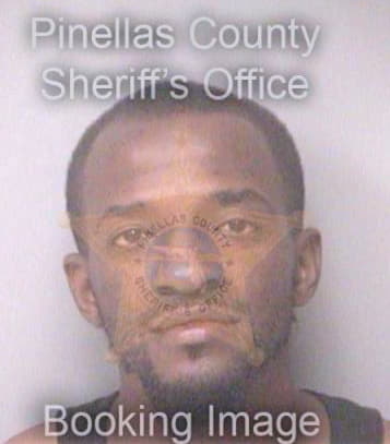 Mcelroy Robert - Pinellas County, FL 