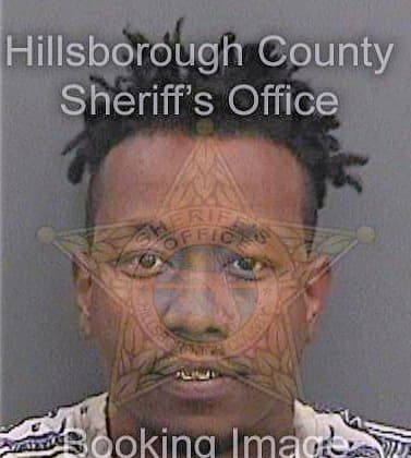 Bradley Anthony - Hillsborough County, FL 