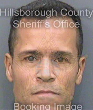 Sanchez Carlos - Hillsborough County, FL 