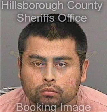 Velascoarcos Juan - Hillsborough County, FL 