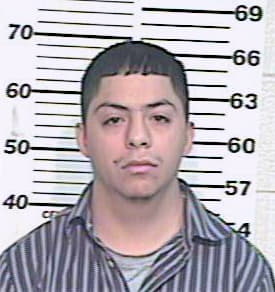 Ramirez Sergio - Hidalgo County, TX 