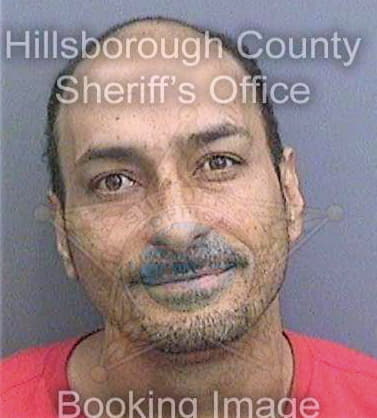 Hernandez Tommy - Hillsborough County, FL 