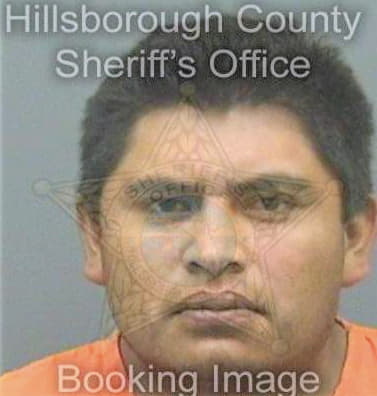 Saldan Antonio - Hillsborough County, FL 