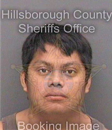 Perezmendez Ubein - Hillsborough County, FL 