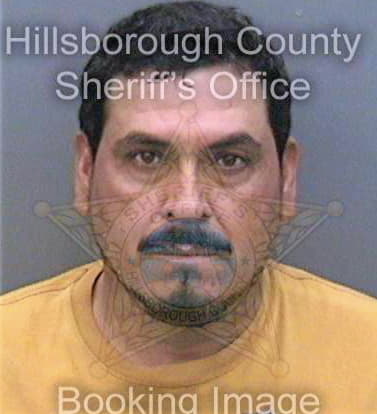 Granadosvelasquez Eusebio - Hillsborough County, FL 