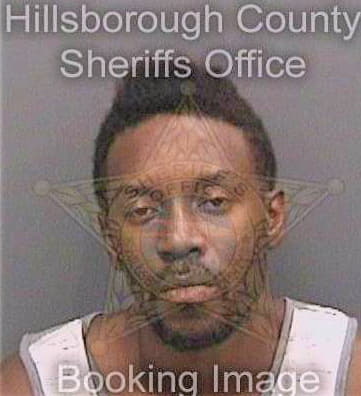 Mcintosh Kevin - Hillsborough County, FL 