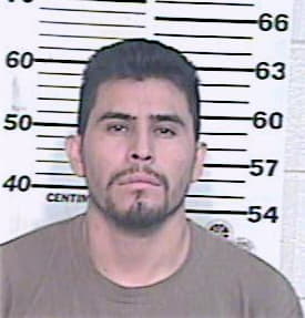 Sandoval Casiano - Hidalgo County, TX 