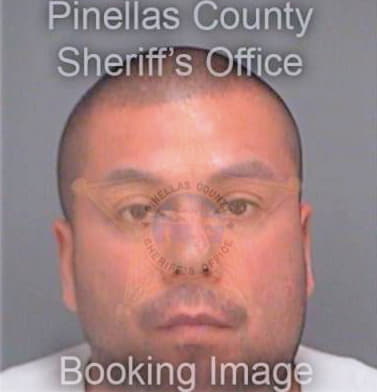 Rico Ray - Pinellas County, FL 