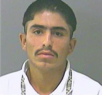 Hernandez Juan - Gwinnett County, GA 