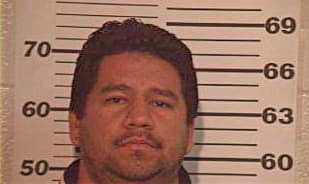 Hernandez Porfirio - Hidalgo County, TX 