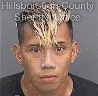 Derosa Rey - Hillsborough County, FL 